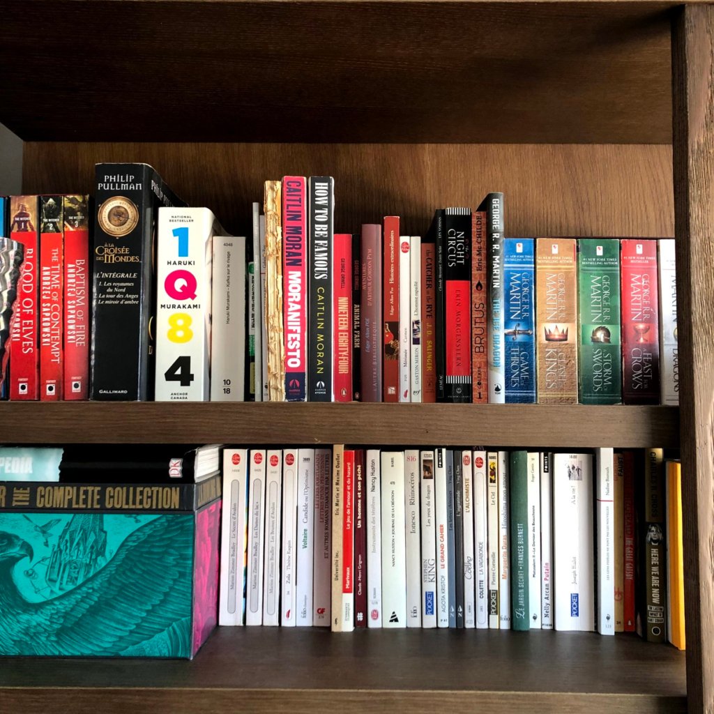 Deux tablettes de bibliothèque remplies de romans